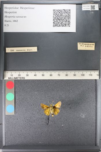 Media type: image;   Entomology 135849